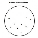 mintea - Copy (2)